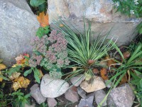 /album/rusticgarden/sauna-muuri-2209-4-jpg1/